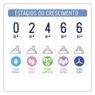 Kit-2-mamadeiras-chico-05